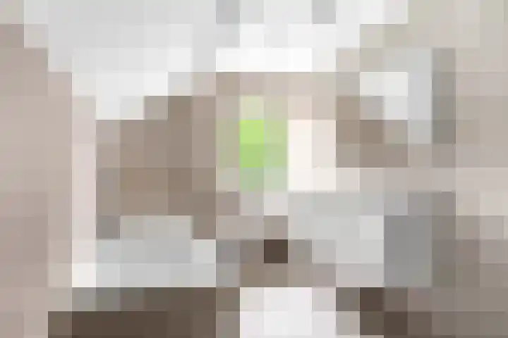 Haven 38 Goutum thumbnail 47