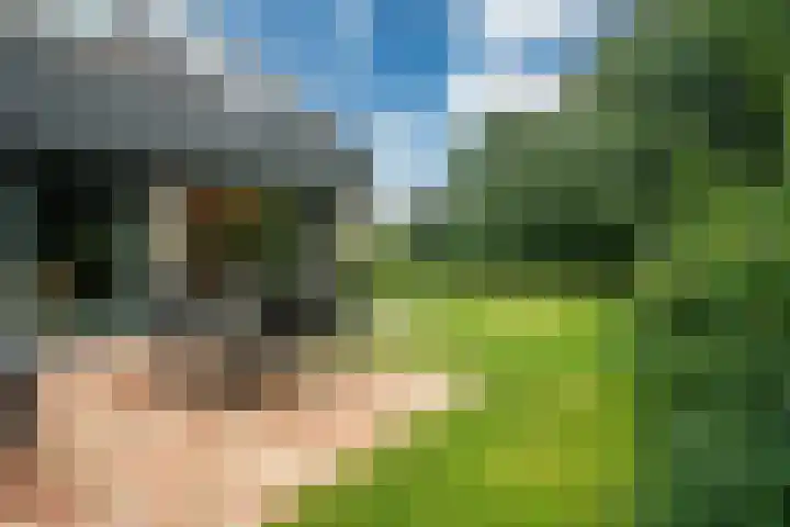 Haven 38 Goutum thumbnail 48