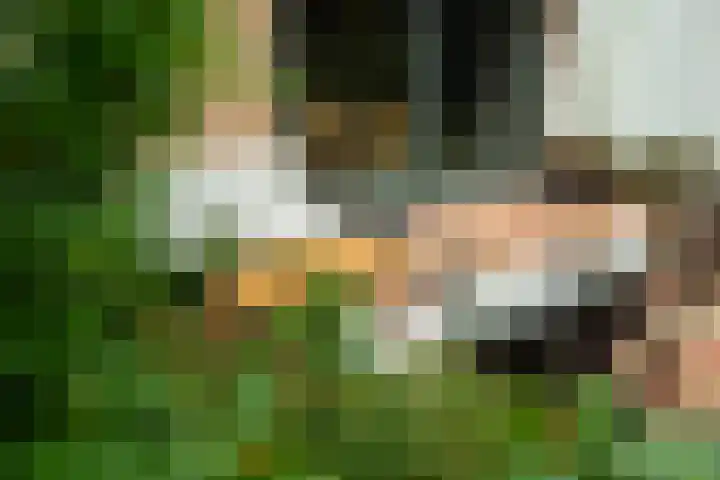 Haven 38 Goutum thumbnail 49