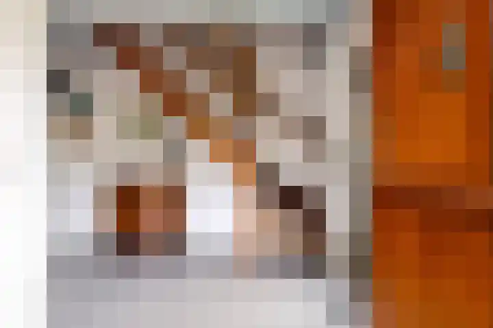 Haven 38 Goutum thumbnail 5