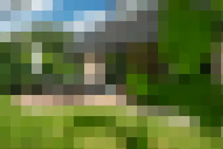 Haven 38 Goutum thumbnail 50
