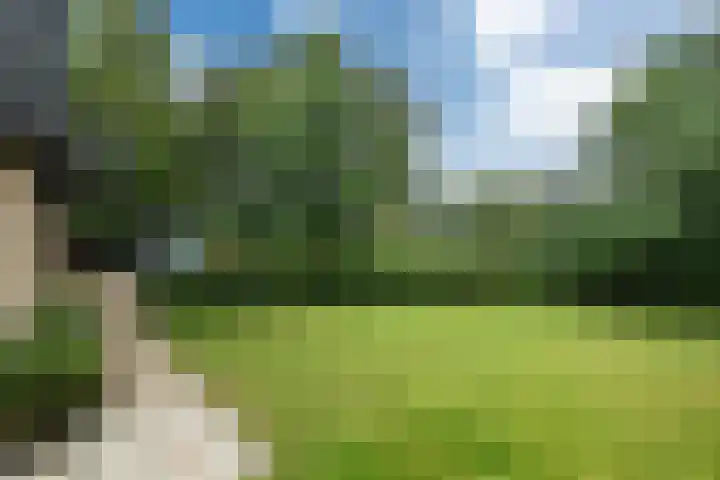 Haven 38 Goutum thumbnail 52