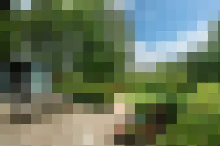 Haven 38 Goutum thumbnail 53
