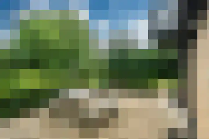 Haven 38 Goutum thumbnail 54