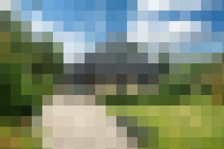 Haven 38 Goutum thumbnail 55