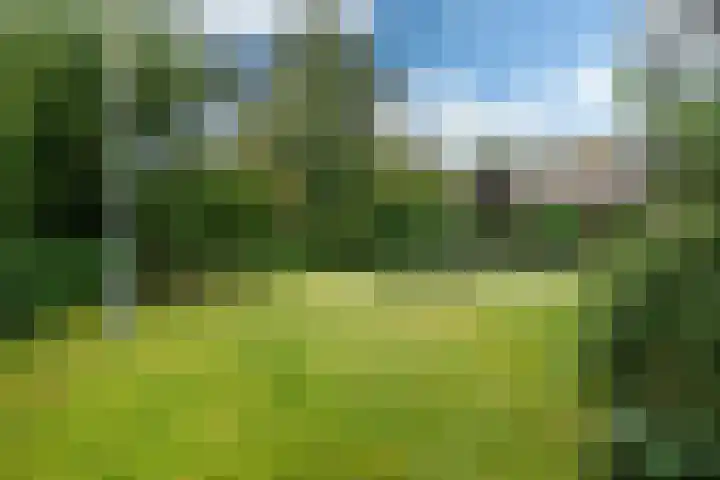 Haven 38 Goutum thumbnail 56