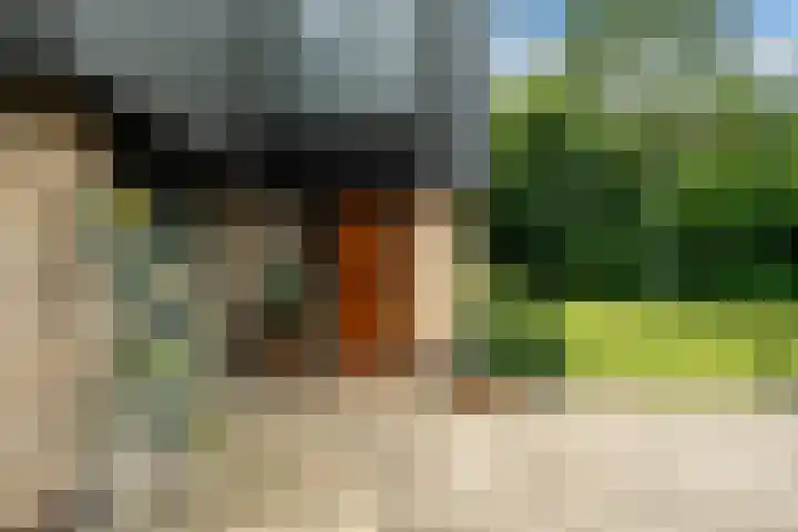 Haven 38 Goutum thumbnail 58