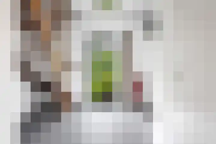 Haven 38 Goutum thumbnail 6