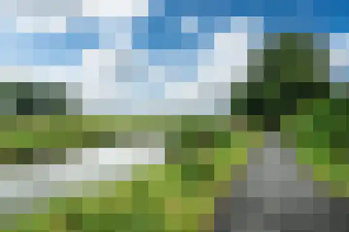 Haven 38 Goutum thumbnail 60