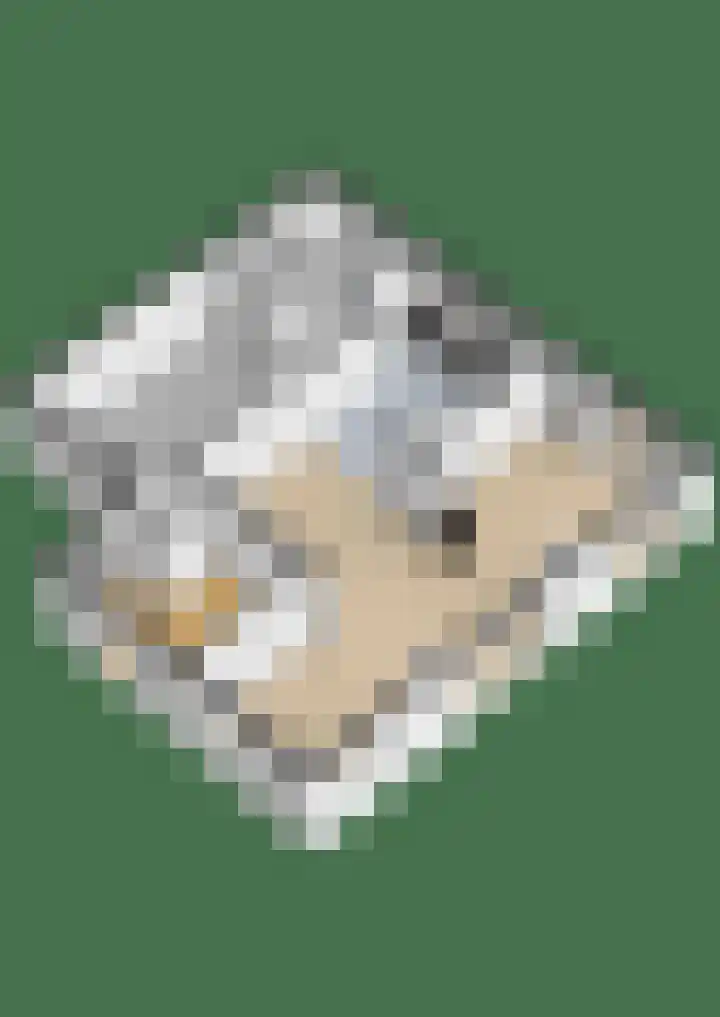Haven 38 Goutum thumbnail 62