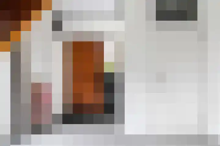 Haven 38 Goutum thumbnail 7