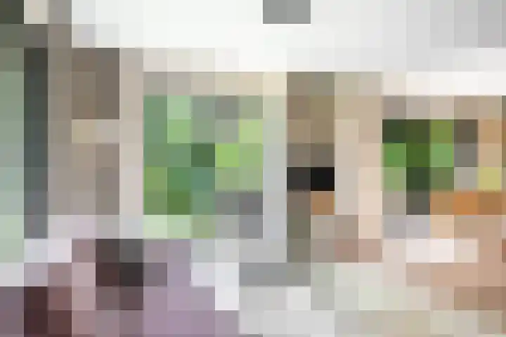 Haven 38 Goutum thumbnail 9