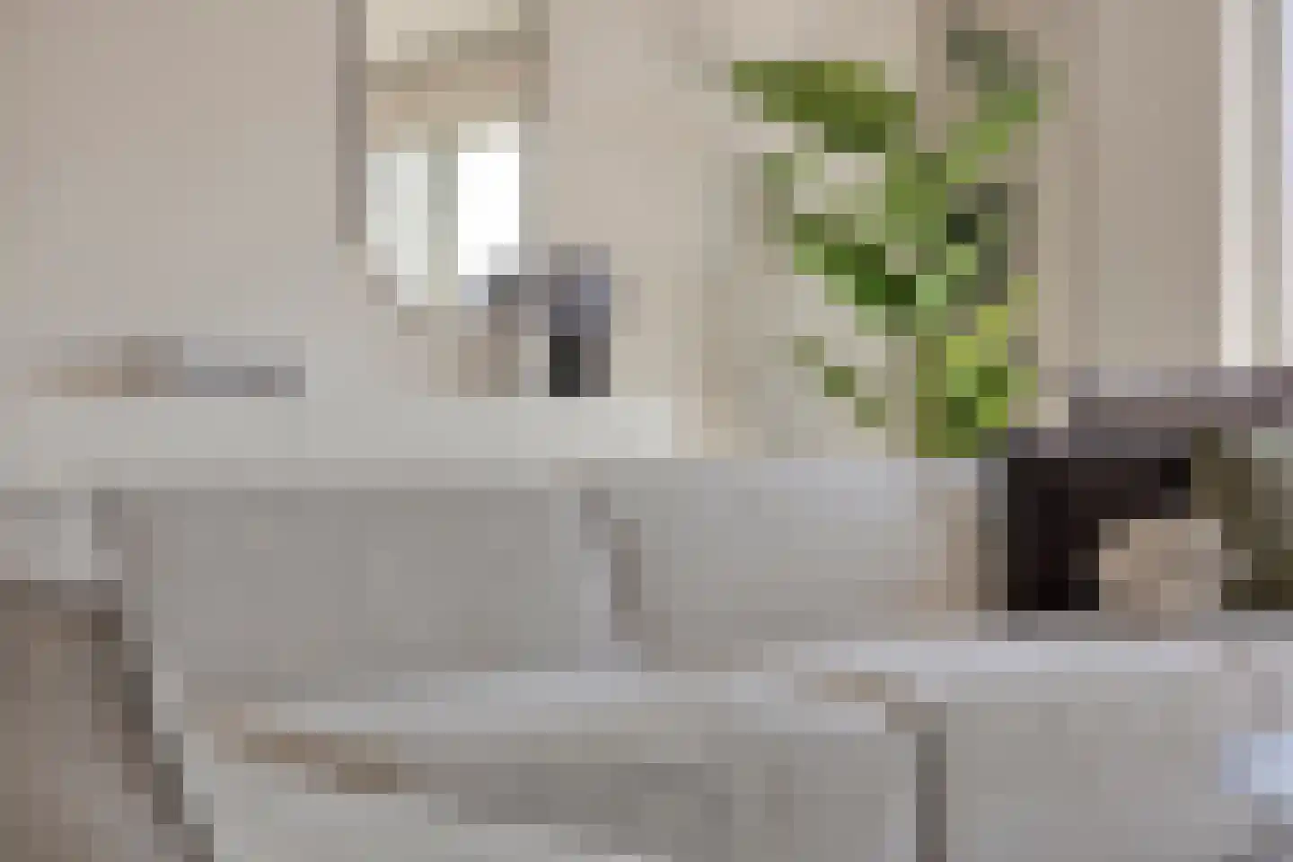 Haven 38 Leimuiden thumbnail 13