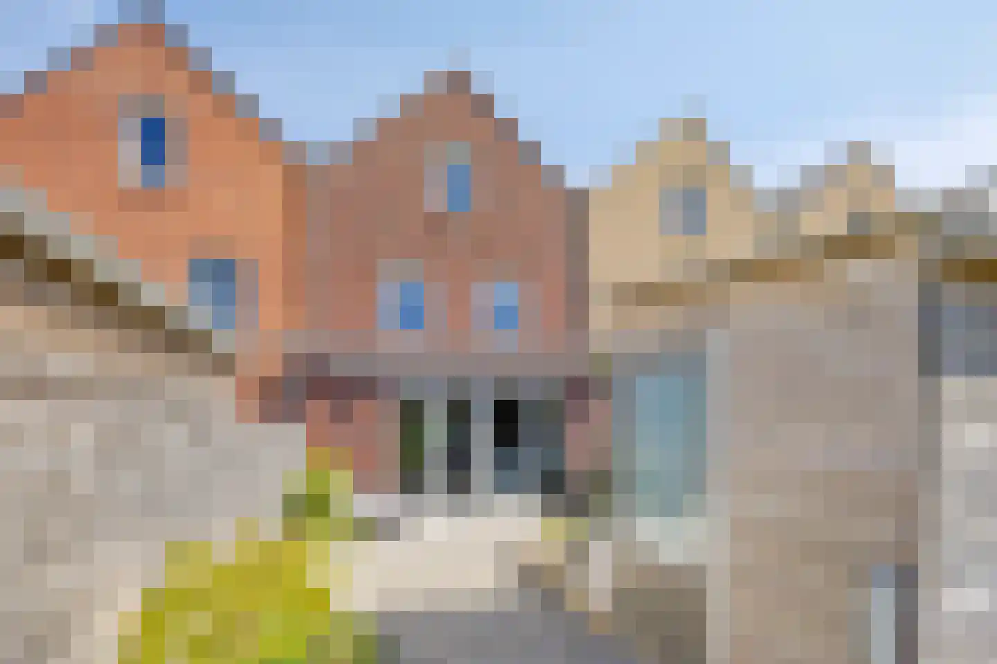 Haven 38 Leimuiden thumbnail 68