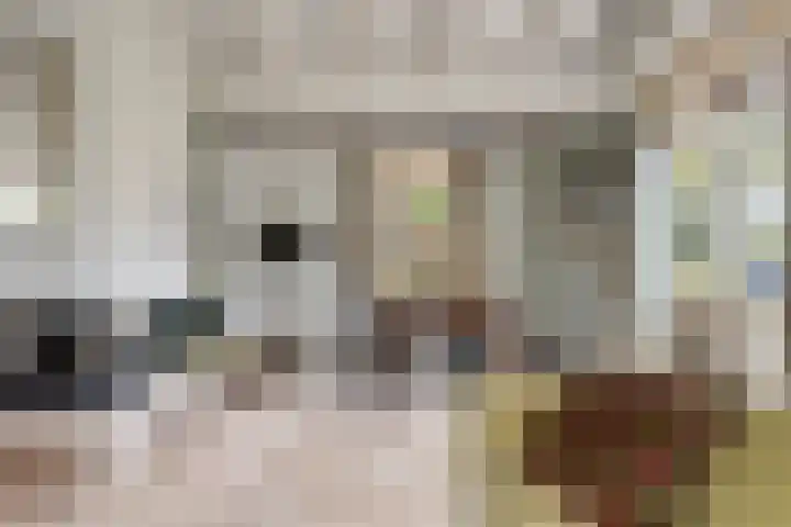 Haven 4 Goutum thumbnail 13