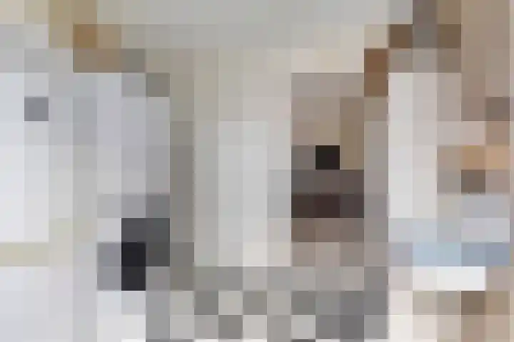 Haven 4 Goutum thumbnail 16
