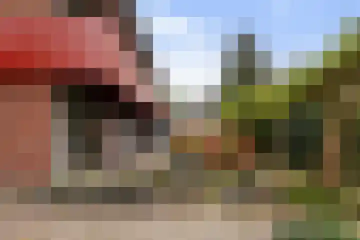 Haven 4 Goutum thumbnail 19