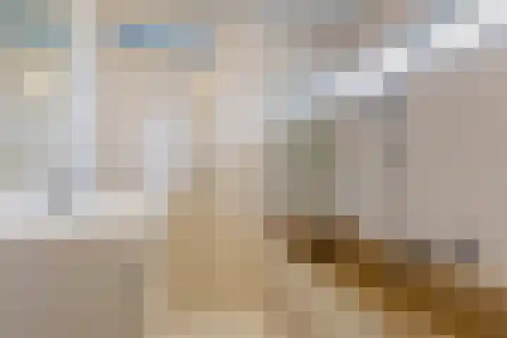Haven 4 Goutum thumbnail 27