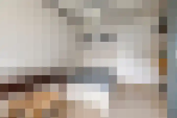 Haven 4 Goutum thumbnail 28