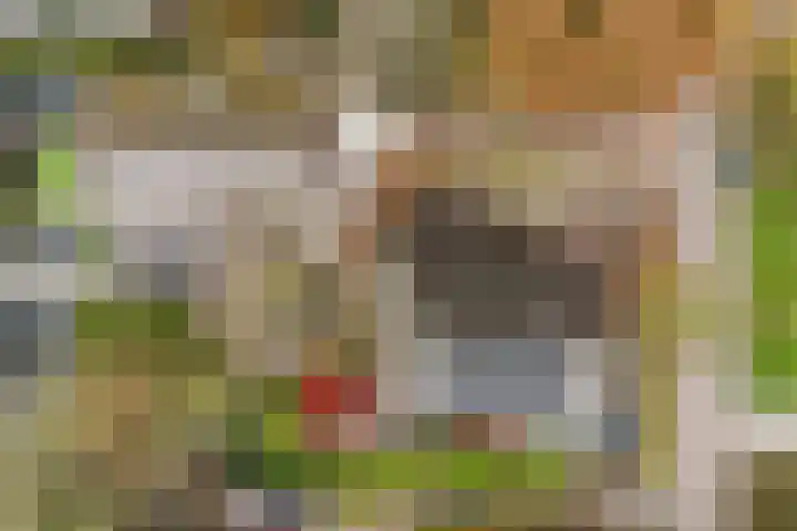 Haven 4 Goutum thumbnail 35
