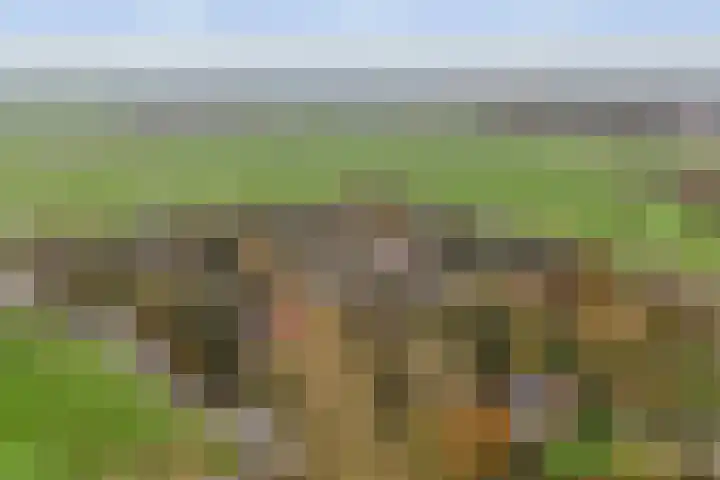 Haven 4 Goutum thumbnail 38