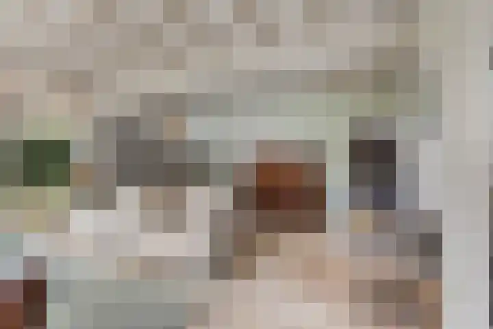 Haven 4 Goutum thumbnail 8