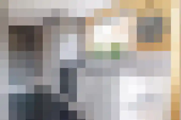 Haven 4 Lemelerveld thumbnail 10