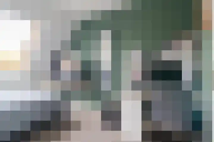 Haven 4 Lemelerveld thumbnail 18