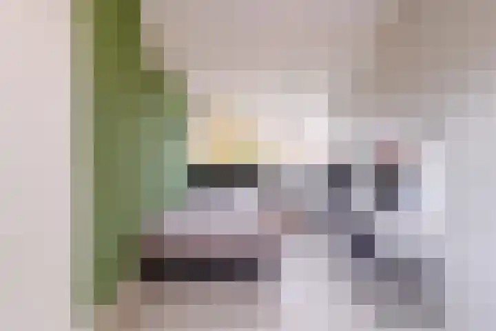 Haven 4 Lemelerveld thumbnail 22