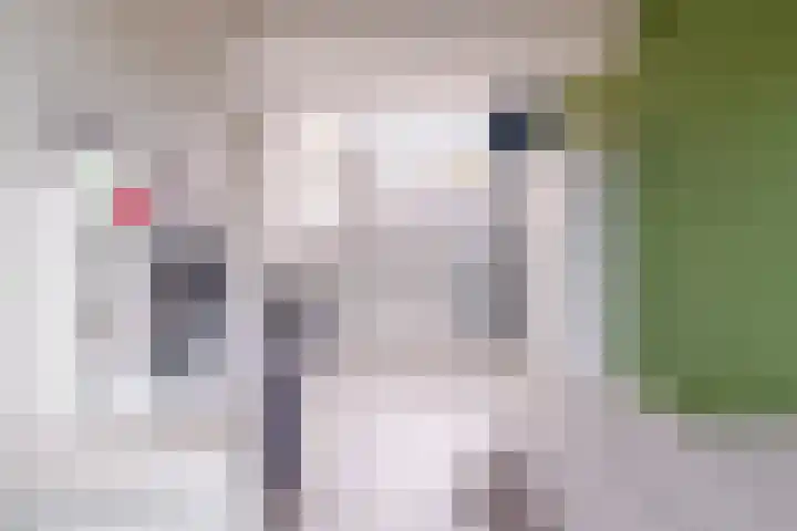 Haven 4 Lemelerveld thumbnail 24