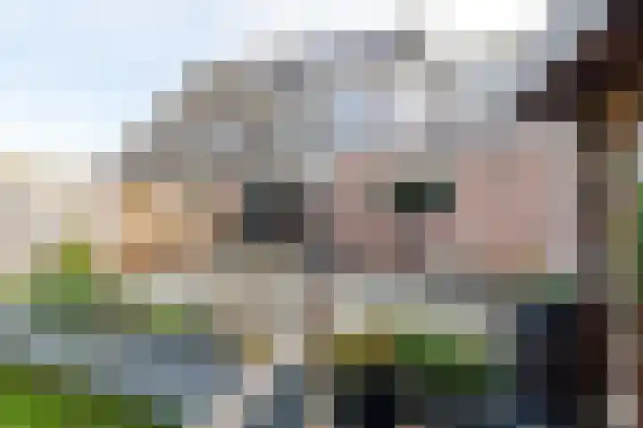 Haven 4 Lemelerveld thumbnail 30