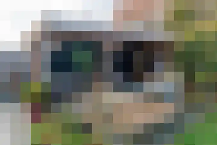 Haven 4 Lemelerveld thumbnail 33
