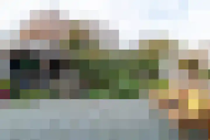 Haven 4 Lemelerveld thumbnail 34