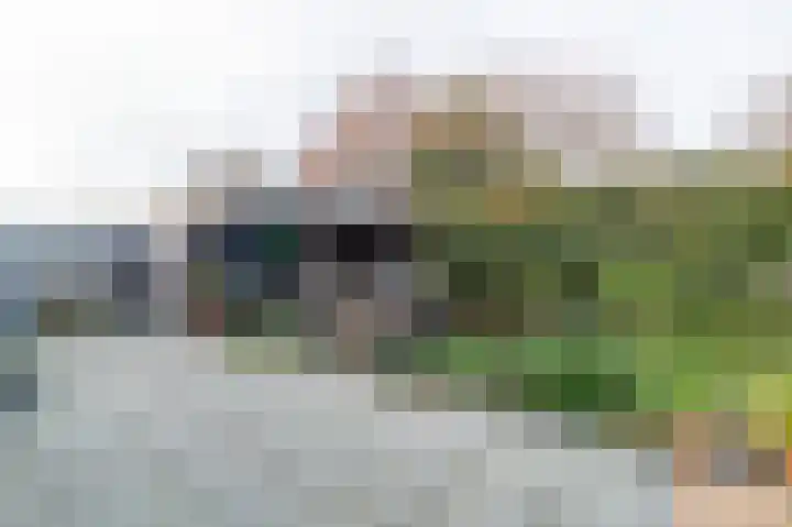 Haven 4 Lemelerveld thumbnail 35