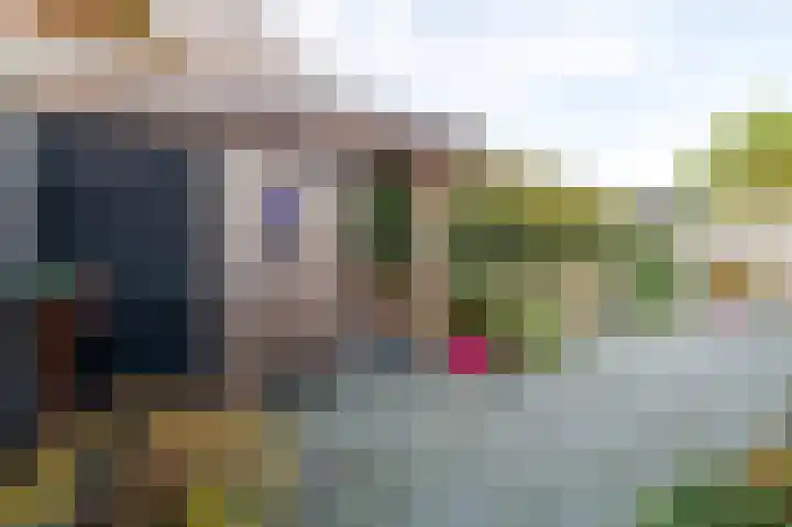 Haven 4 Lemelerveld thumbnail 37