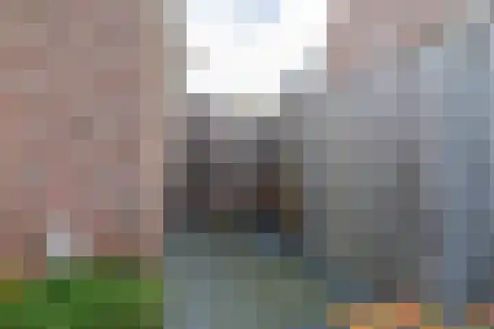 Haven 4 Lemelerveld thumbnail 38