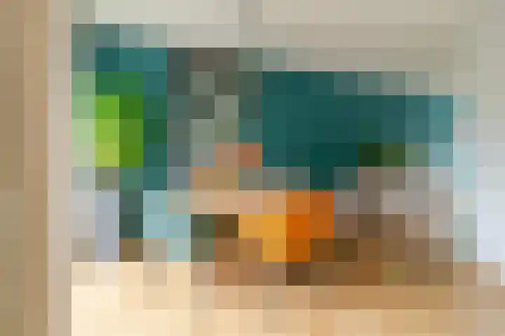 Haven 4 Lemelerveld thumbnail 8