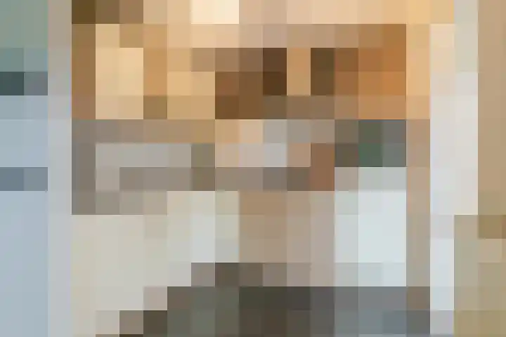 Haven 4 Lemelerveld thumbnail 9