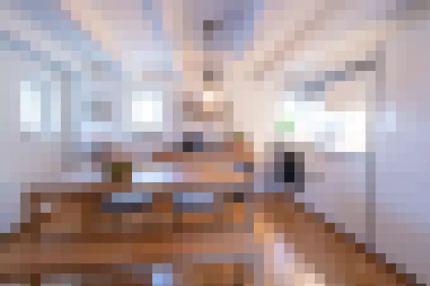Haven 4 Stad aan 't Haringvliet thumbnail 14