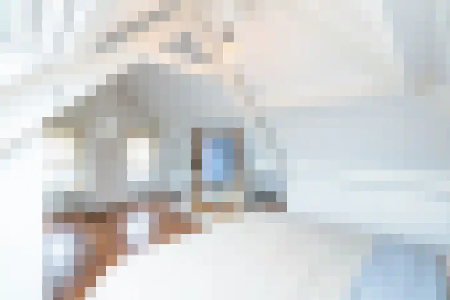Haven 4 Stad aan 't Haringvliet thumbnail 40