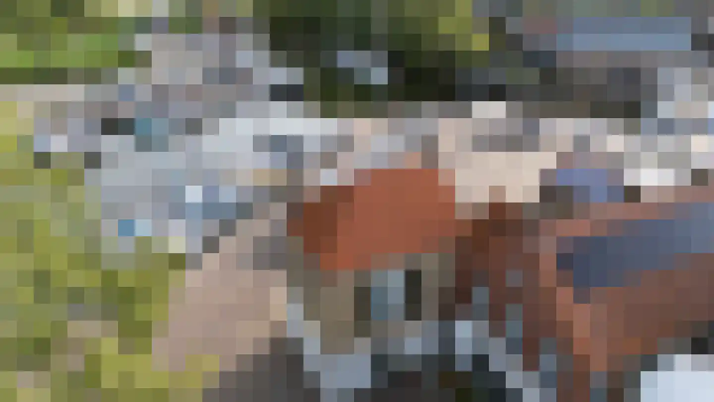 Haven 4 Stad aan 't Haringvliet thumbnail 6