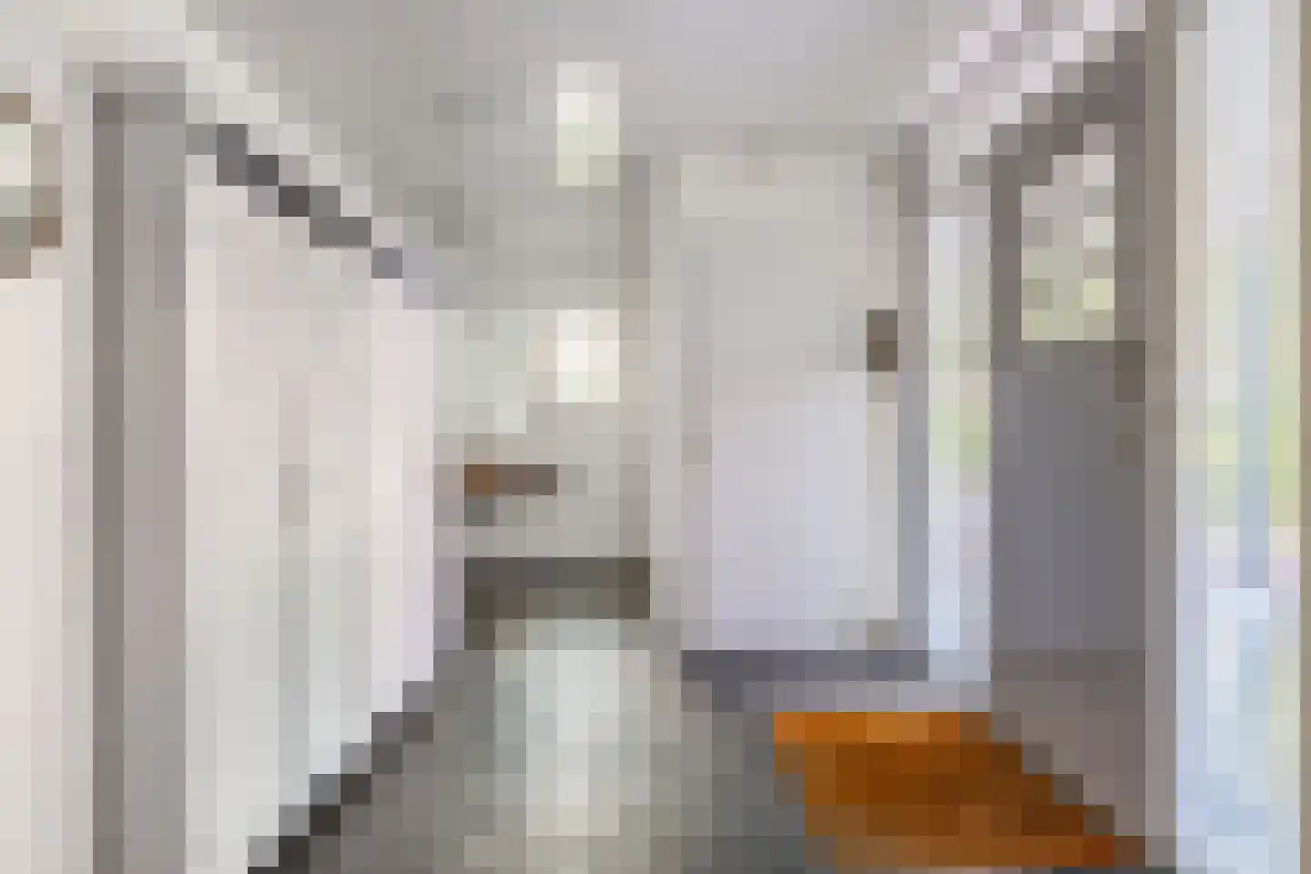 Haven 42 Goutum thumbnail 12