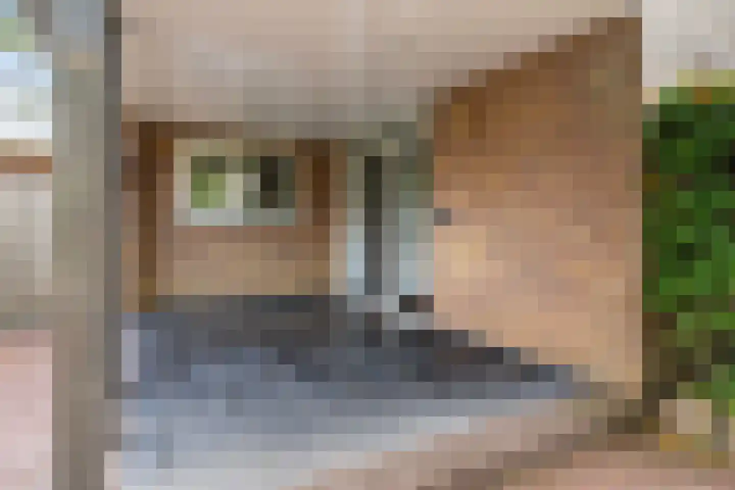 Haven 42 Goutum thumbnail 12