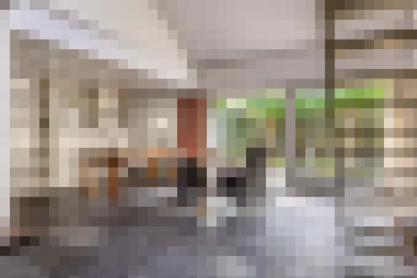 Haven 42 Goutum thumbnail 17