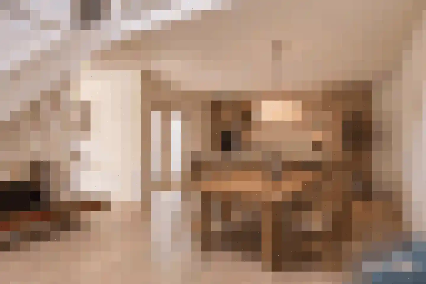 Haven 42 Goutum thumbnail 20