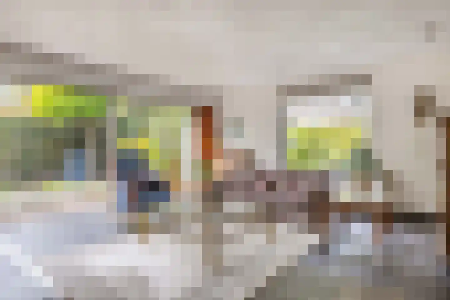 Haven 42 Goutum thumbnail 23