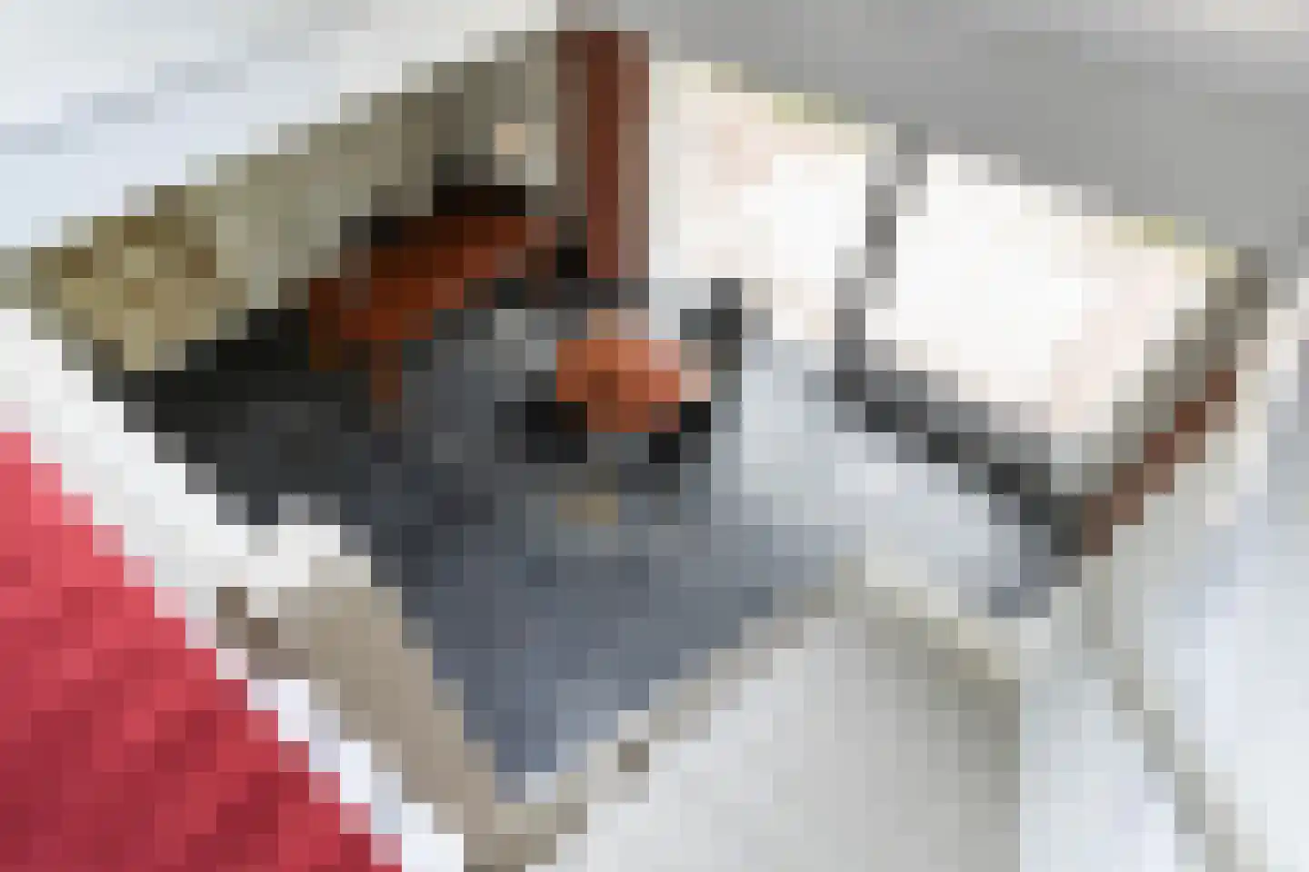 Haven 42 Goutum thumbnail 29