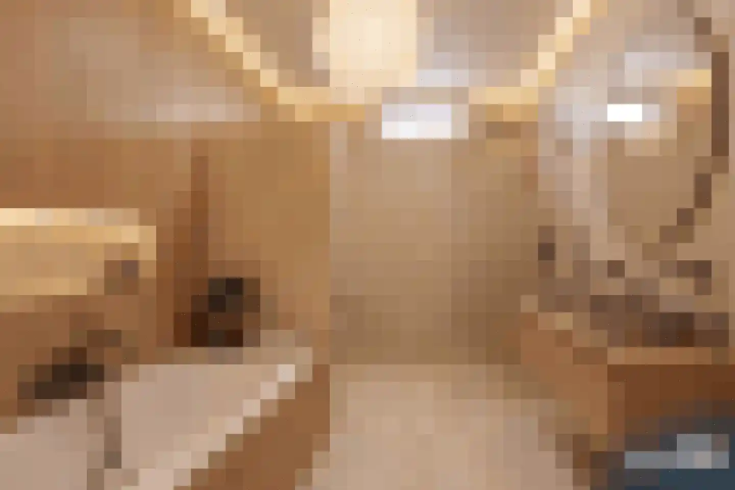 Haven 42 Goutum thumbnail 34