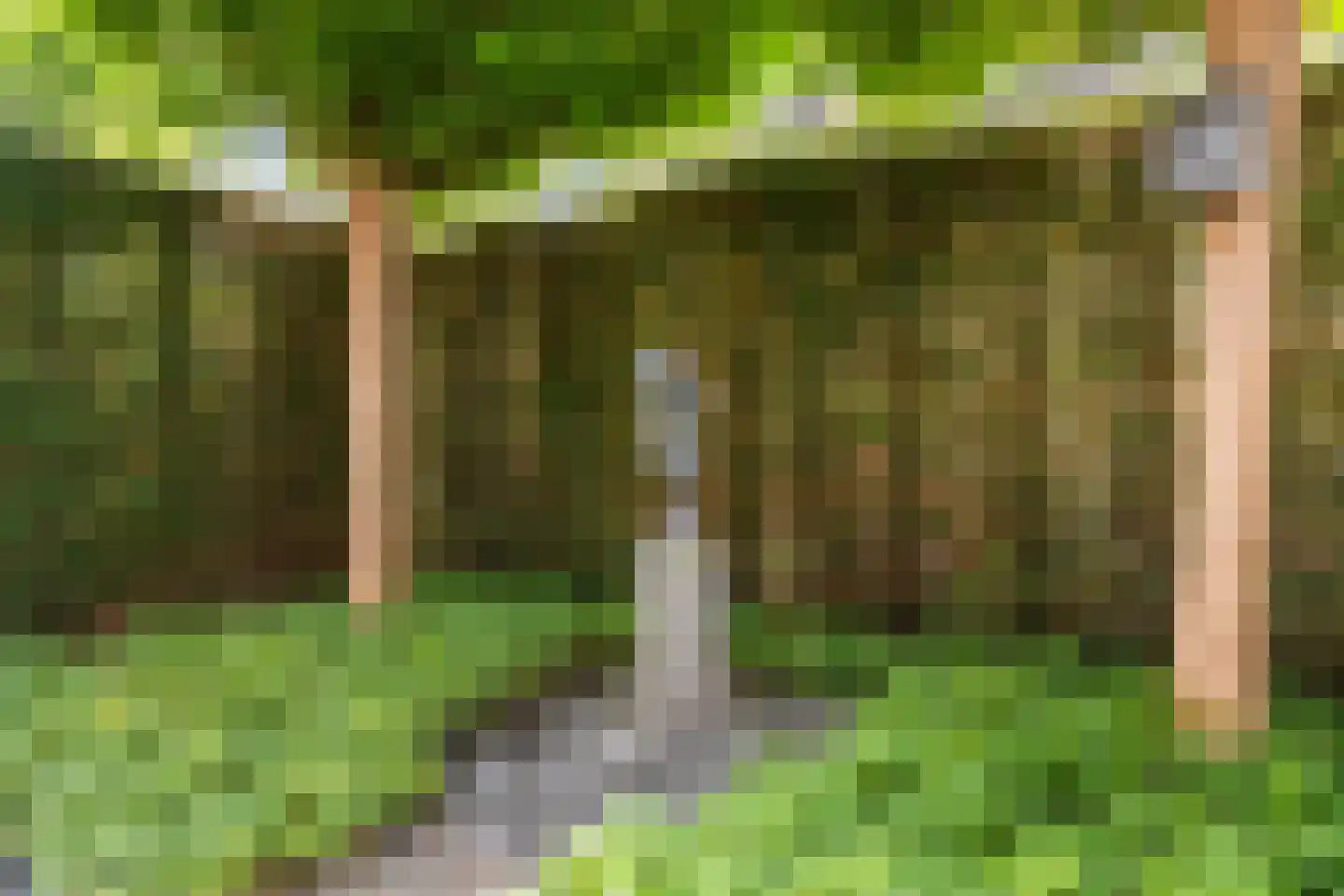 Haven 42 Goutum thumbnail 42