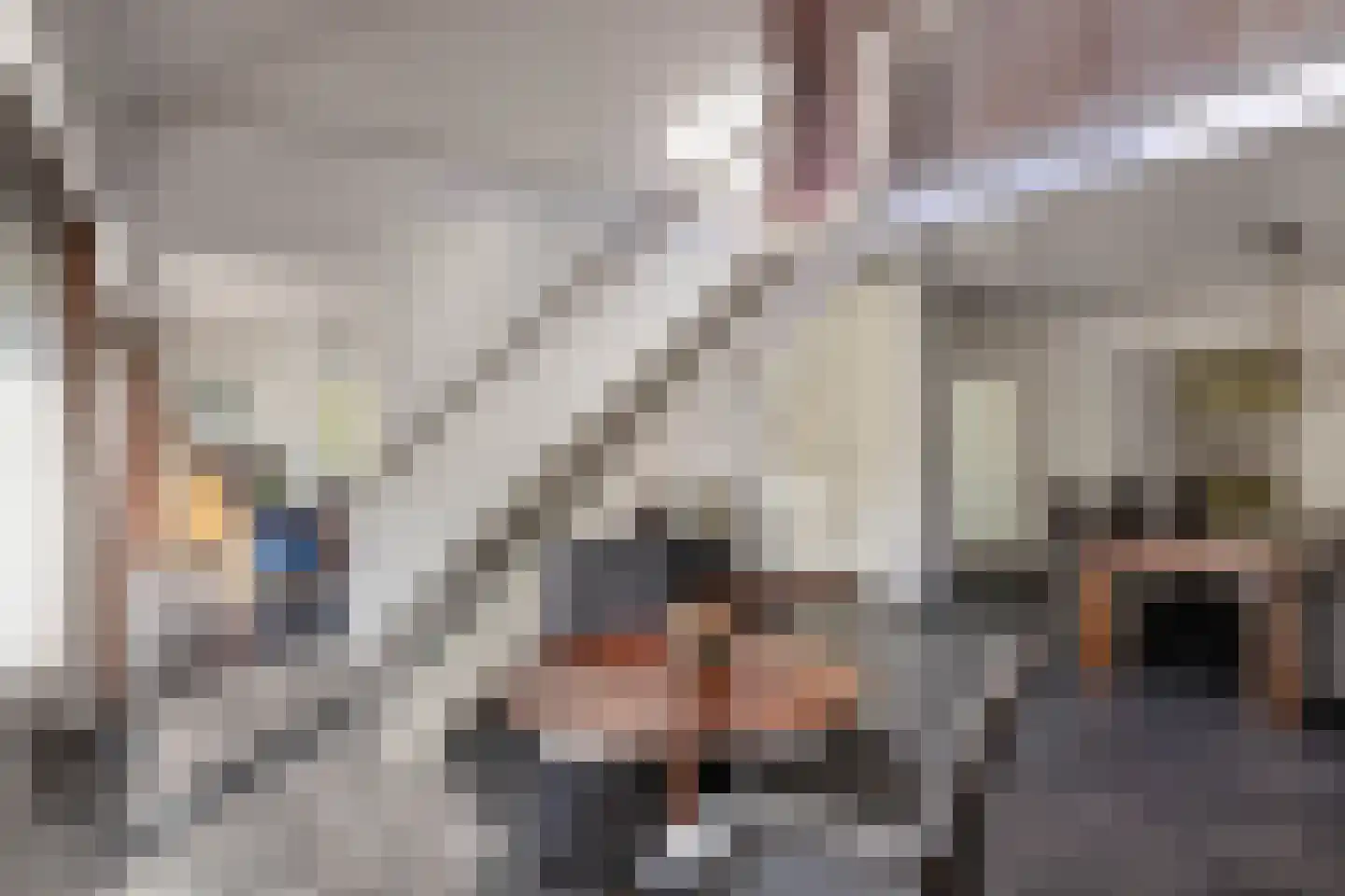 Haven 42 Goutum thumbnail 43